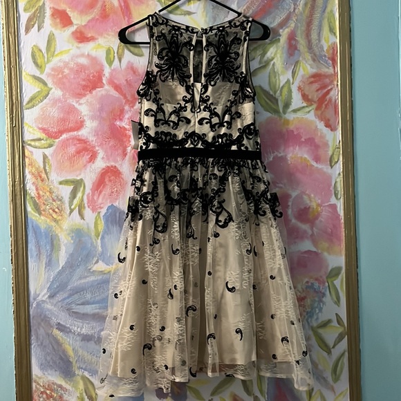 Adrianna Papell size 6 dress prom formal cocktail dress wedding guest NWT - Picture 5 of 8